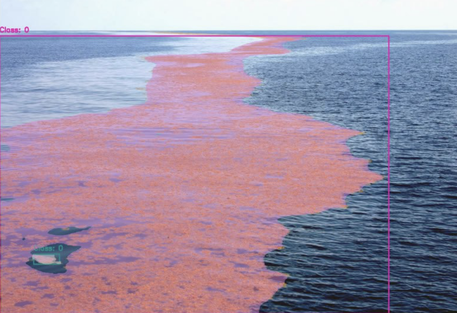 Real-time sargassum detection data from AI monitoring system